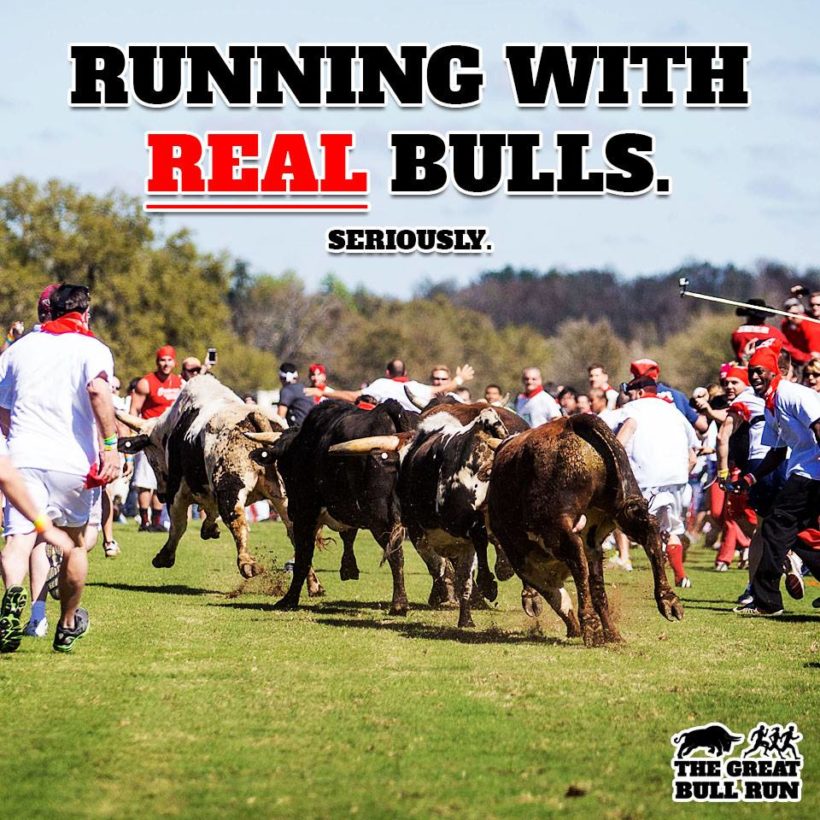 The Great Bull Run