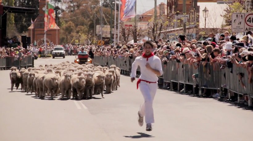 running_of_the_sheeps