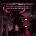 Chicago Bulls. 2014.
