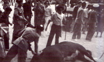 Liebrero dead, with Cipriano Huarte far left, holding the rifle. Photo from Jose Galle en la obra Historia de los Sanfermines de José Joaquín Arazuri.