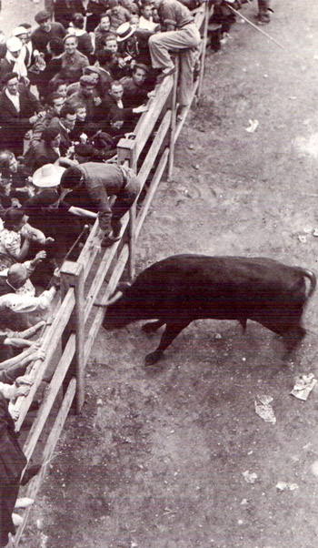 In this photo you can see the soldier on top of the barrier having attracted the bulls attention, while behind the lady in the light dress is 16 year old Luis, in the white shirt. Photo from Jose Galle en la obra Historia de los Sanfermines de José Joaquín Arazuri.