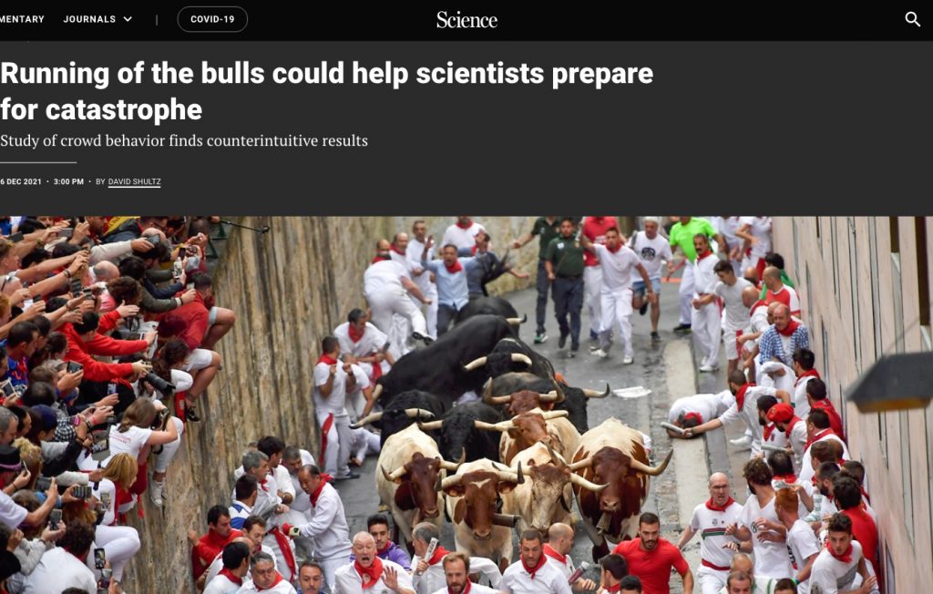 Article in the journal Science that refers to a study that takes as a reference the running of the bulls in Pamplona